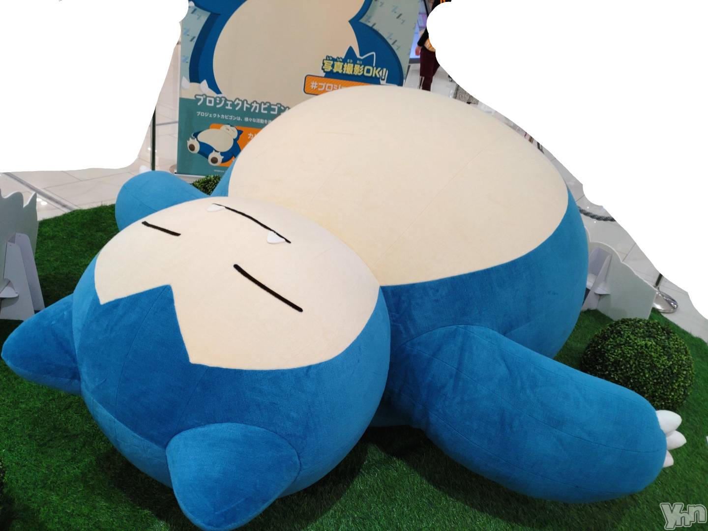 ���ܥ���Х��顦�����CLUB WONDER(����� ������) ��2024ǯ1��26���̥�֥����ֹ����ʥݥ����ʡ������🤫💓💓💓💓��