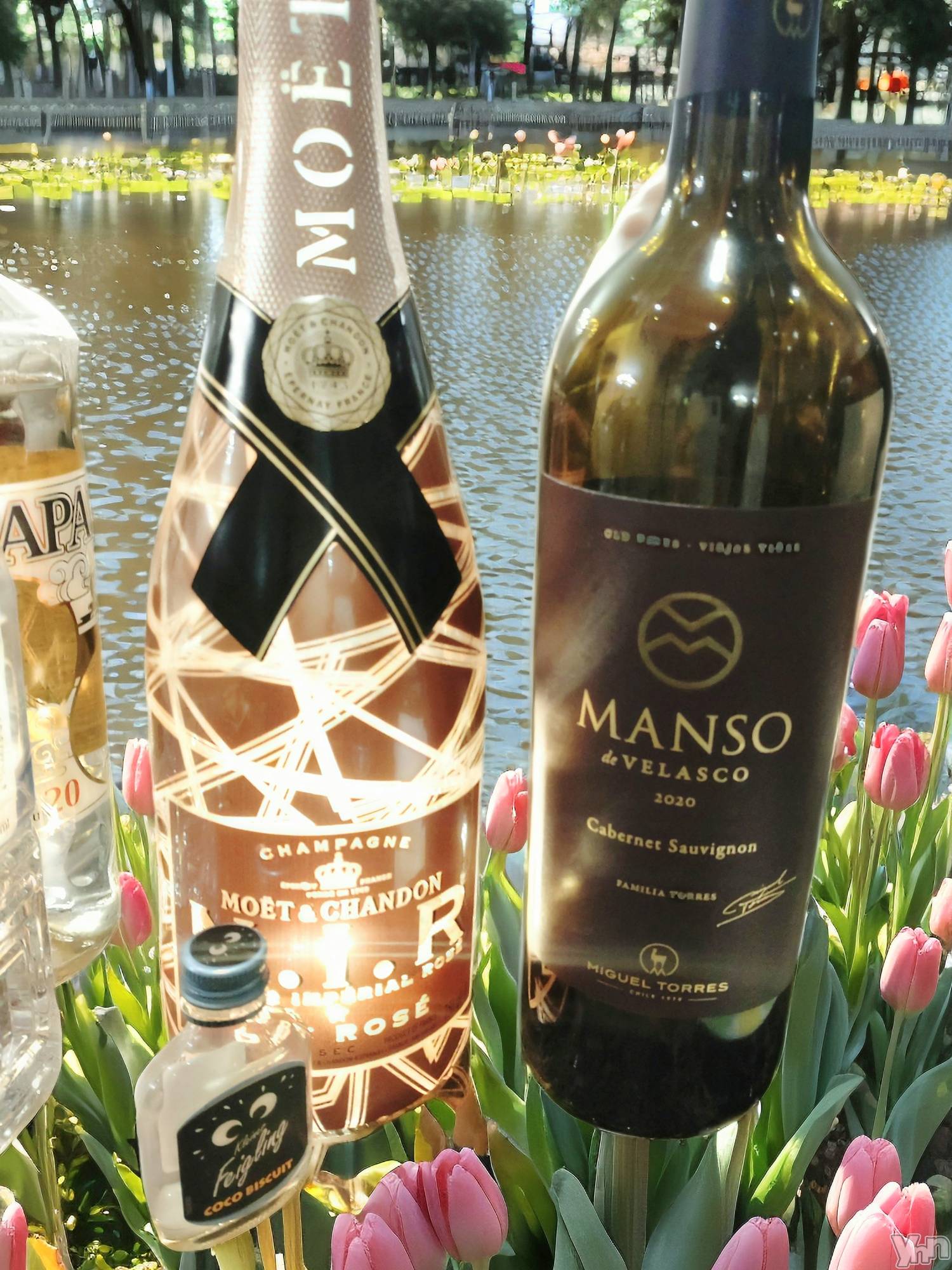 ���ܥ���Х��顦�����CLUB WONDER(����� ������) ��2025ǯ10��30���̥�֥����ֺ����ϳڤ����ä���🥂💓💓💓💓💓💓��