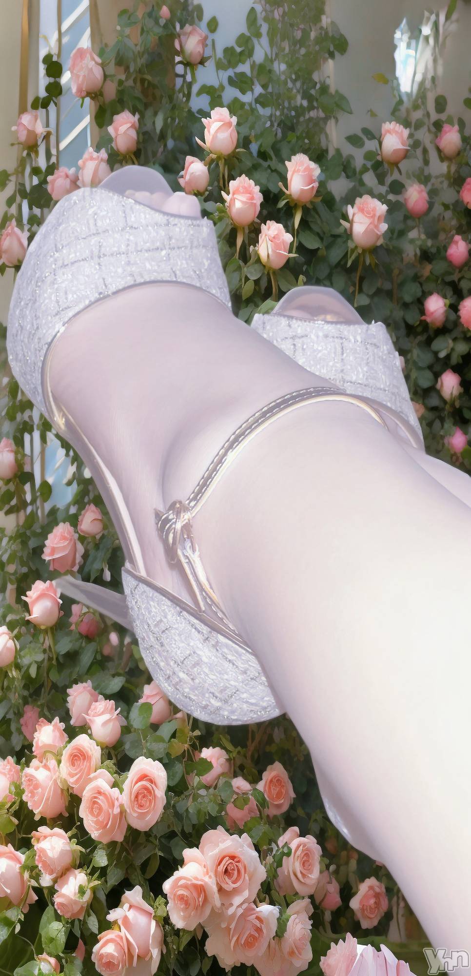 ���ܥ���Х��顦�����CLUB WONDER(����� ������) ��2026ǯ2��27���̥�֥����ֵӥե������Ϥ�🐶💓�ʷ���Ĵ���ޤ���👠�ˡ�