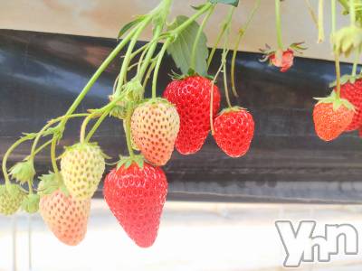 ���ܥ���Х��顦�����CLUB WONDER(����� ������) ���ĥ���3��21���̥�֥����֤���������🍓🍓🍓��