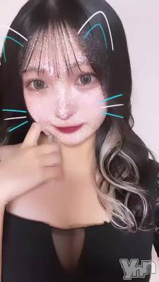 ����🐰🎀