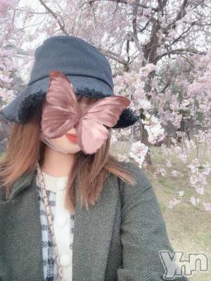 甲府ソープ 石蹄(セキテイ) おとは(20)の4月8日写メブログ「7日間ありがとうございました🌸♡」