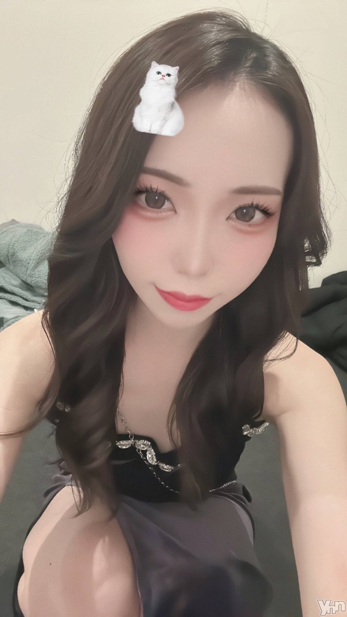 ���ܥ���Х��顦�����CLUB WONDER(����� ������) ��2025ǯ2��26���̥�֥����֤���á�