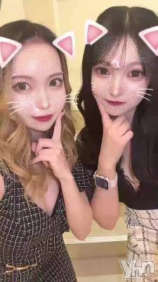 🐱🐰