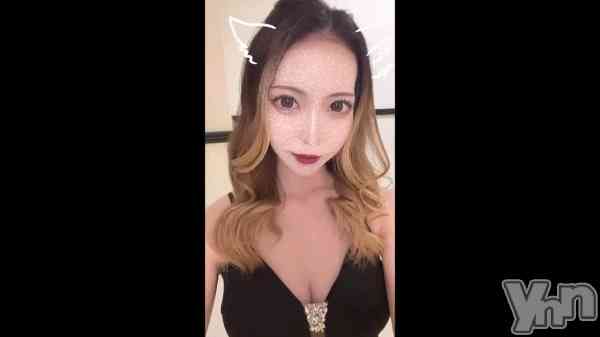 ��🐾🖤��