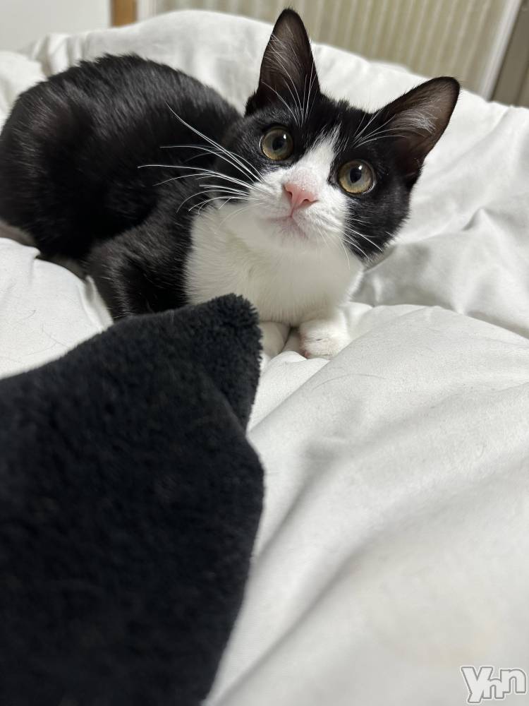 ���ܥ���Х��顦�����CLUB HEARTS(����֥ϡ���) ������2��3���̥�֥����֤��λҤ�̾����