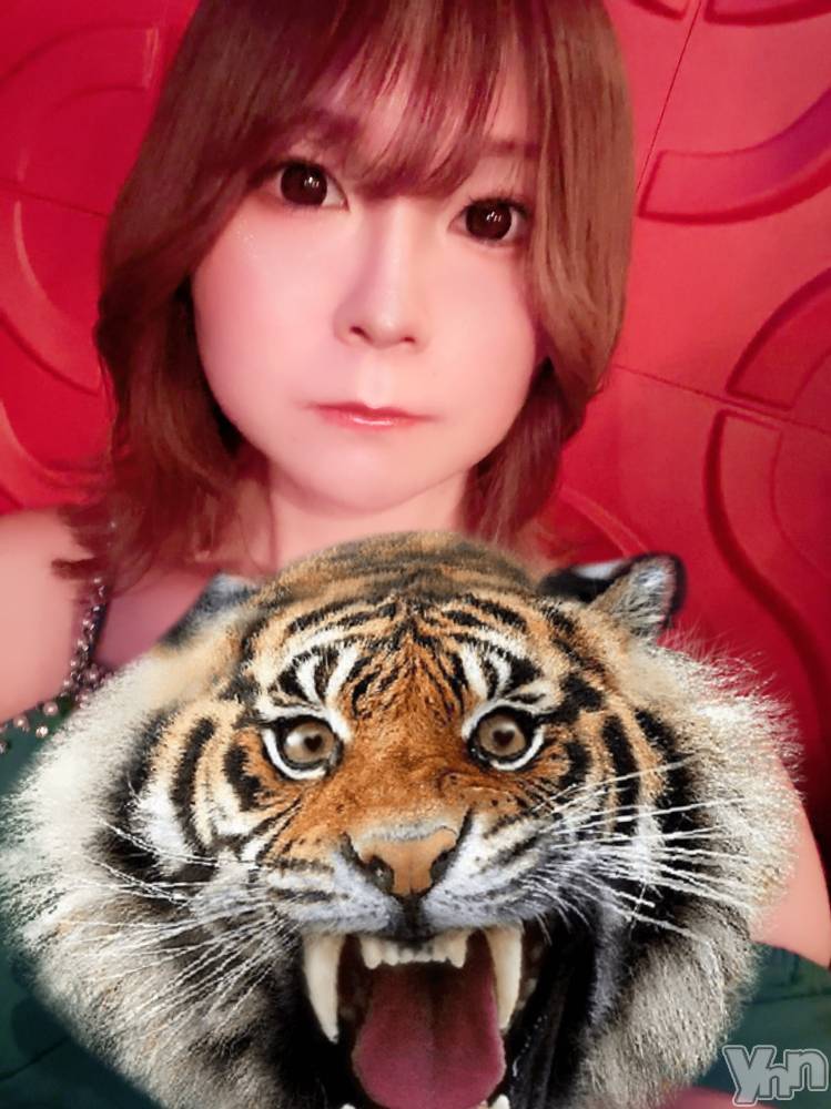 ���ܥ���Х��顦�����CLUB HEARTS(����֥ϡ���) ������9��6���̥�֥�����ưʪ��ԤäƤ��ޤ�����