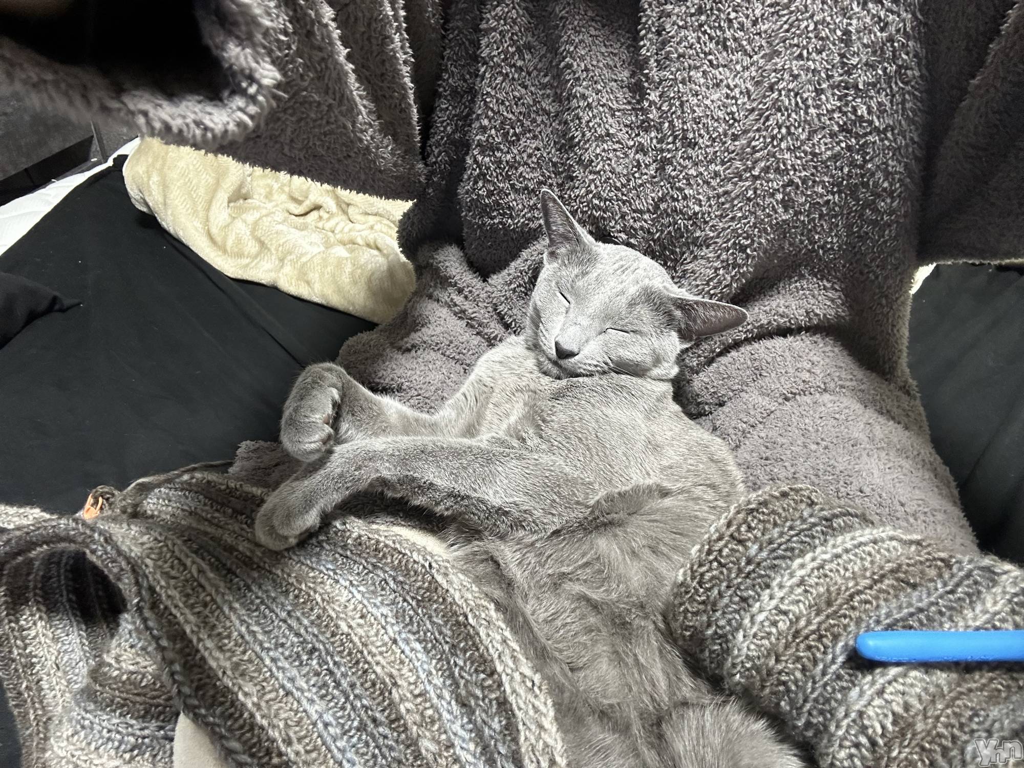 ���ܥ���Х��顦�����CLUB HEARTS(����֥ϡ���) ��2024ǯ2��3���̥�֥����֤��Ϥ褦���������