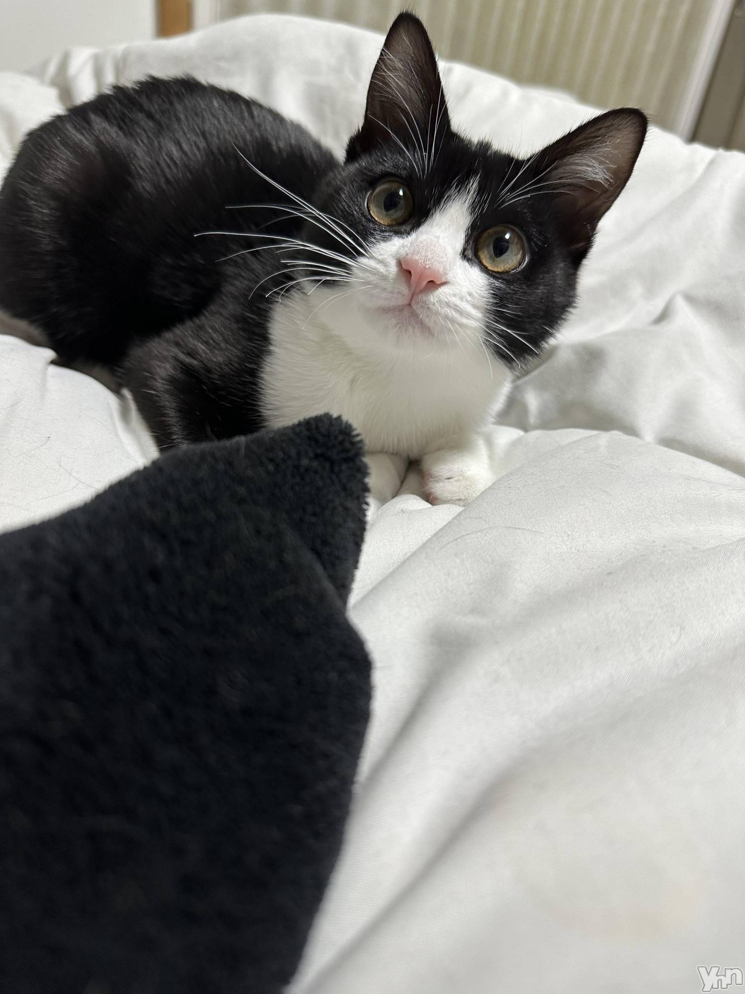 ���ܥ���Х��顦�����CLUB HEARTS(����֥ϡ���) ��2024ǯ2��3���̥�֥����֤��λҤ�̾����