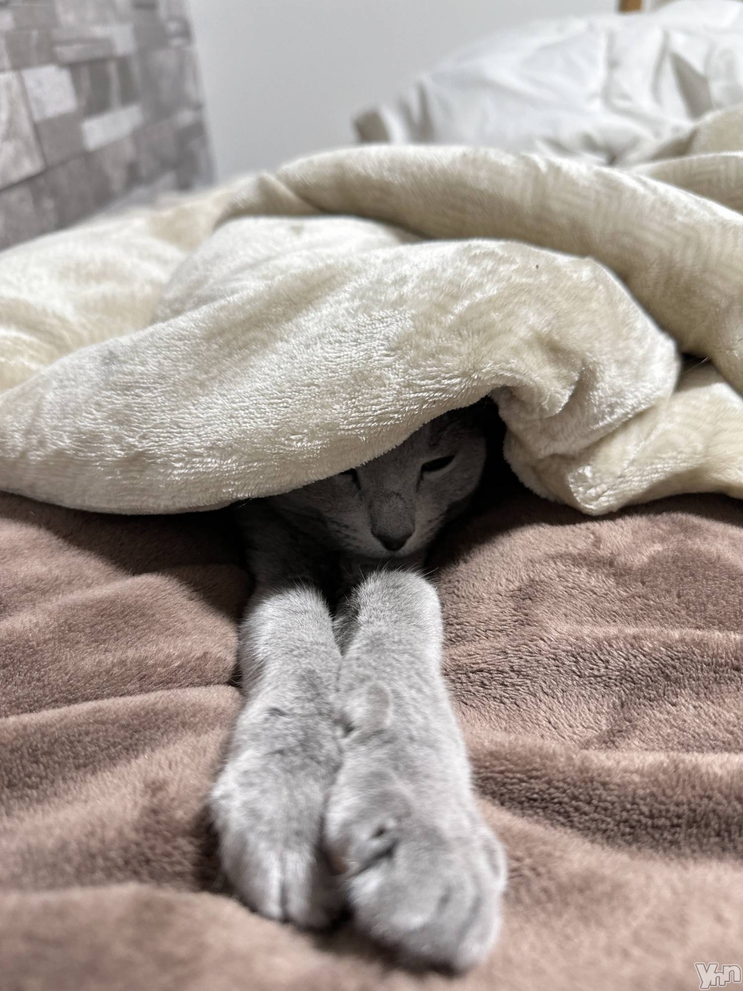 ���ܥ���Х��顦�����CLUB HEARTS(����֥ϡ���) ��2024ǯ2��8���̥�֥����֤�����ͤǤä�����