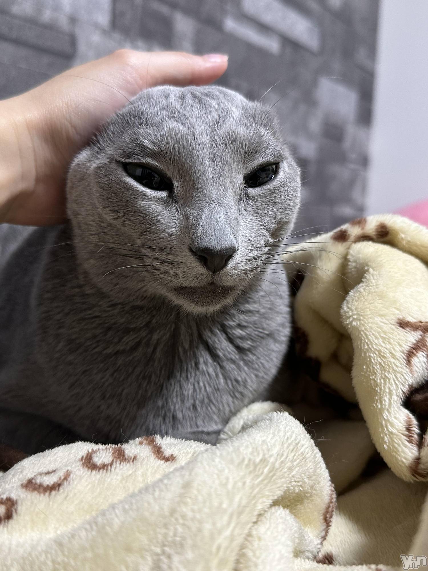 ���ܥ���Х��顦�����CLUB HEARTS(����֥ϡ���) ��2024ǯ9��21���̥�֥����֤ۤ�MISIA��