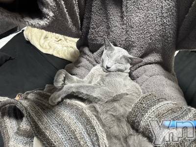 ���ܥ���Х��顦�����CLUB HEARTS(����֥ϡ���) ������2��3���̥�֥����֤��Ϥ褦���������