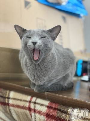 ���ܥ���Х��顦�����CLUB HEARTS(����֥ϡ���) ������2��4���̥�֥����� ���䤹�ߤʤ�����