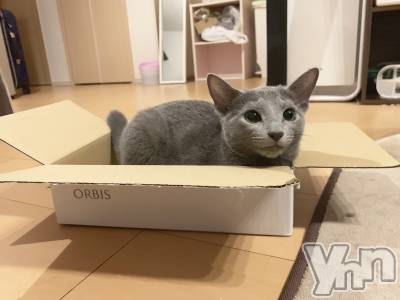 ���ܥ���Х��顦�����CLUB HEARTS(����֥ϡ���) ������2��6���̥�֥����ֻ�𤬽Ťʤꤪ�٤ߤǤ���