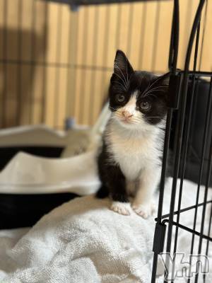 ���ܥ���Х��顦�����CLUB HEARTS(����֥ϡ���) ������2��7���̥�֥����֥��������������С��ǿ�����뤢��������