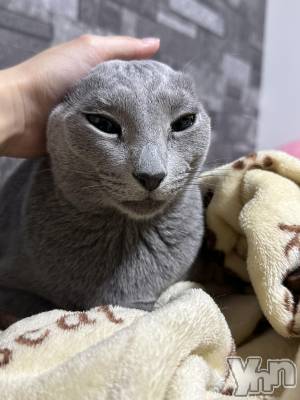 ���ܥ���Х��顦�����CLUB HEARTS(����֥ϡ���) ������9��21���̥�֥����֤ۤ�MISIA��