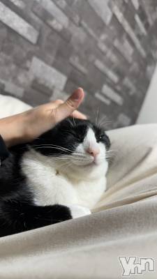 ���ܥ���Х��顦�����CLUB HEARTS(����֥ϡ���) ������3��8���̥�֥����ּ����꤬����ʤ��Τ�ǭ���