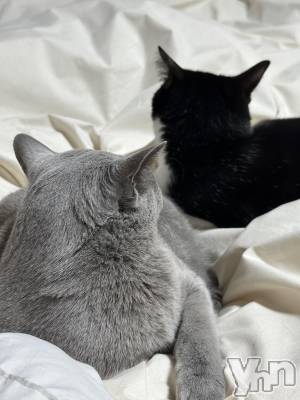 ���ܥ���Х��顦�����CLUB HEARTS(����֥ϡ���) ������3��14���̥�֥�����ǭ�֥����ʤΤ�ǭ�夲�ޤ���