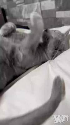 ư��夬�뤫�ʤ�