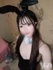 甲府ソープオレンジハウス なの(20)の2月24日写メブログ「バニー🐰」