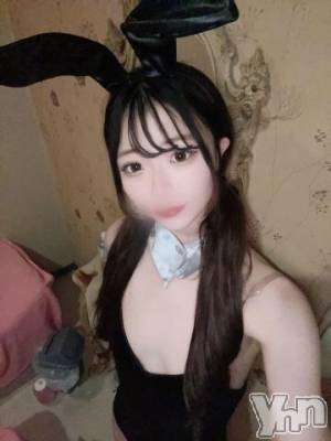 甲府ソープ オレンジハウス なの(20)の2月24日写メブログ「バニー🐰」