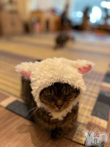 甲府ソープBARUBORA(バルボラ)れいか(20)の2024年4月13日写メブログ「あと2日( ' - ' )じー」