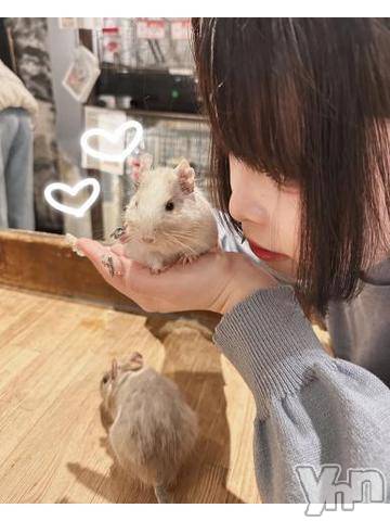 甲府デリヘル山梨奥さま食堂(ヤマナシオクサマショクドウ)かなで(27)の2024年3月14日写メブログ「今日も元気に‼️」