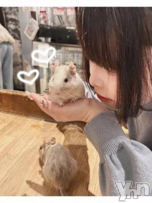 甲府デリヘル 山梨奥さま食堂(ヤマナシオクサマショクドウ) かなで(27)の3月14日写メブログ「今日も元気に‼️」