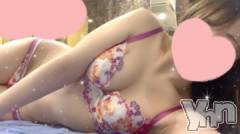 甲府ソープBARUBORA(バルボラ) ゆい(21)の8月26日写メブログ「迷い込んだものたち♡」