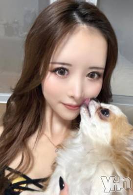 甲府ソープ オレンジハウス あおい(25)の3月25日写メブログ「はじめまして🐶」