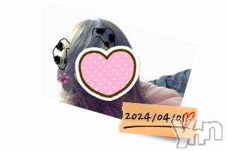 甲府デリヘル甲府人妻隊(コウフヒトヅマタイ)新人なこ(26)の2024年4月1日写メブログ「こんにちは☘️」