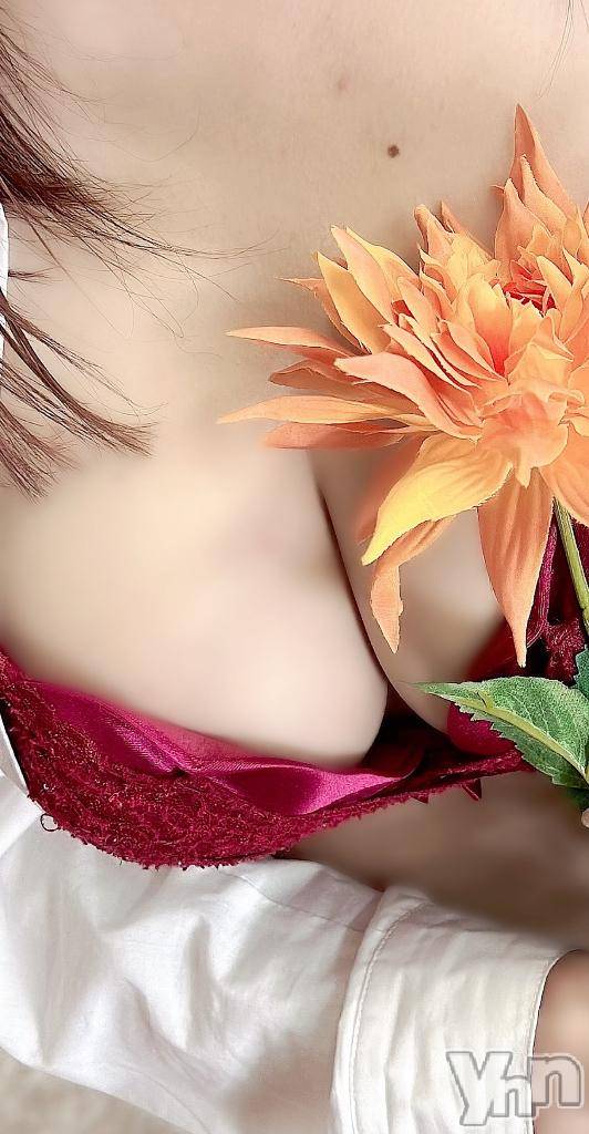 甲府デリヘル甲府人妻隊(コウフヒトヅマタイ)新人ちずる(35)の2025年2月15日写メブログ「出勤♡♡♡」