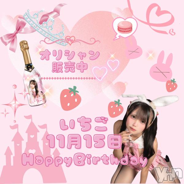 ���ܥ��ʥå��������륺�С�Girl's Bar All-in(�����륤��)(�����륺�С������륤��) �� 2024ǯ11��6���̥�֥����֤����������11/12〜�С����ǡ�����💕��