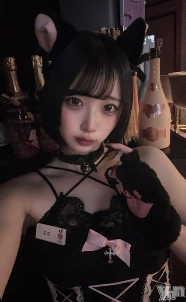 ���ܥ��ʥå��������륺�С�Girl's Bar All-in(�����륤��)(�����륺�С������륤��) �ʤʤ�10��31���̥�֥����֥ϥ���������������- ̗̀ 🎃  ̖́-��