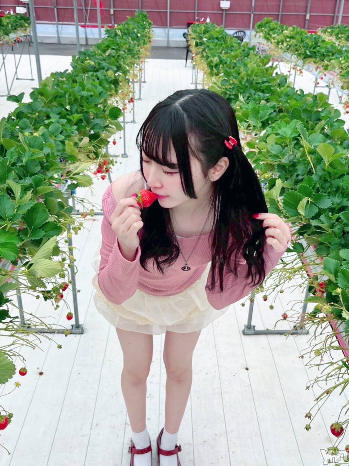 ���ܥ��ʥå��������륺�С�Girl's Bar All-in(�����륤��)(�����륺�С������륤��) ��2025ǯ4��7���̥�֥����� ���������꡼����