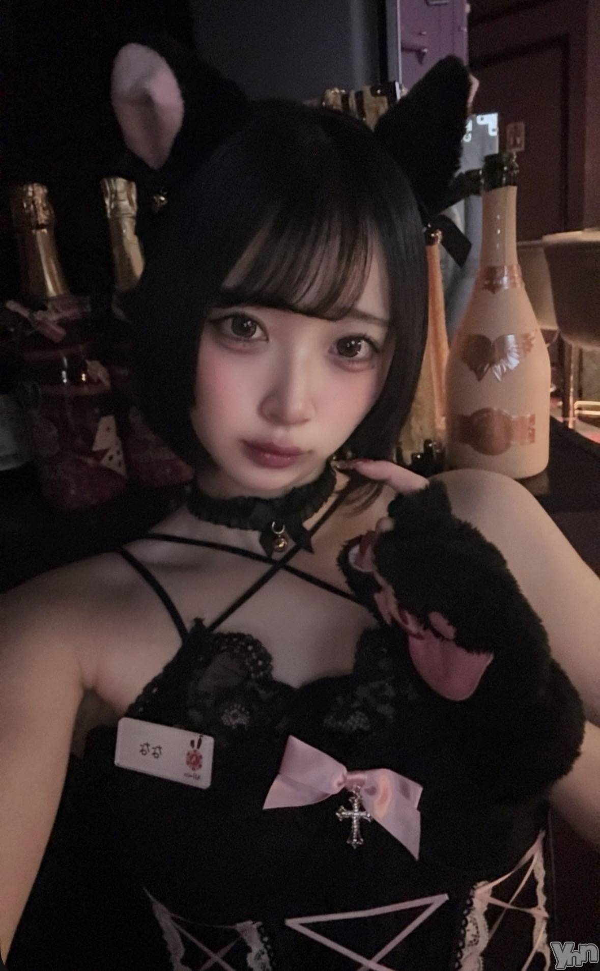 ���ܥ��ʥå��������륺�С�Girl's Bar All-in(�����륤��)(�����륺�С������륤��) ��2026ǯ10��31���̥�֥����֥ϥ���������������- ̗̀ 🎃  ̖́-��