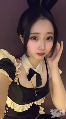 ���ܥ��ʥå��������륺�С�Girl's Bar All-in(�����륤��)(�����륺�С������륤��) �ʤ�(20)��11��21���̥�֥�������������˥åȥ��٥�ȡ�����