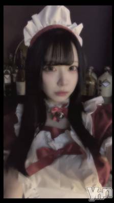 ���ܥ��ʥå��������륺�С�Girl's Bar All-in(�����륤��)(�����륺�С������륤��) �ʤ�(20)��2��16���̥�֥����֥��٥�Ⱥǽ���������