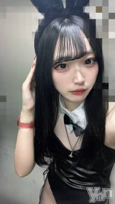 ���ܥ��ʥå��������륺�С�Girl's Bar All-in(�����륤��)(�����륺�С������륤��) �ʤ�(20)��3��14���̥�֥�����ͽ�곰�νжС���