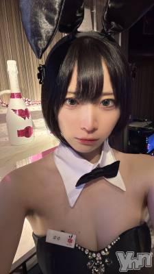 ���ܥ��ʥå��������륺�С�Girl's Bar All-in(�����륤��)(�����륺�С������륤��) �ʤ�(20)��4��10���̥�֥����ֺ����⤤�ޤ���