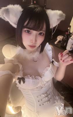 ���ܥ��ʥå��������륺�С�Girl's Bar All-in(�����륤��)(�����륺�С������륤��) �ʤ�(20)��7��19���̥�֥����������ޤǤ���衼����