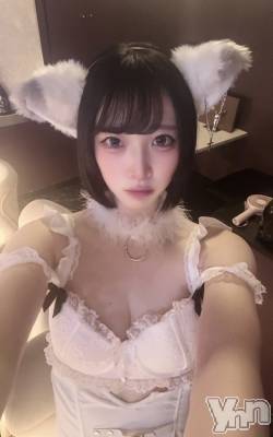 ���ܥ��ʥå��������륺�С�Girl's Bar All-in(�����륤��)(�����륺�С������륤��) �ʤ�(20)��7��20���̥�֥�����ǭ����Ǹ塪��