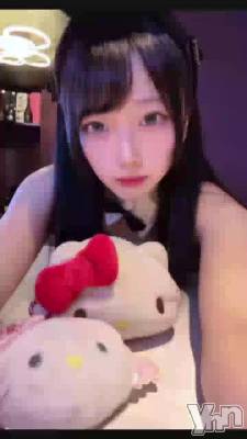 �ߤƤߤơ�����