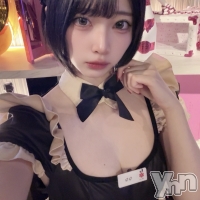 Girl's Bar All-in(�����륤��)