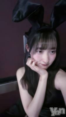 (22) Ĺ150cmܥʥå륺С Girl's Bar All-in(륤)(륺С륤)ҡ