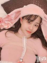 甲府ソープオレンジハウス しの(24)の4月26日写メブログ「🎀 ♡欲が 1 番強い動物」