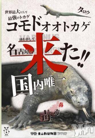 甲府デリヘル甲府人妻隊(コウフヒトヅマタイ) なおみ(50)の8月31日写メブログ「きたきたきた～(笑)」