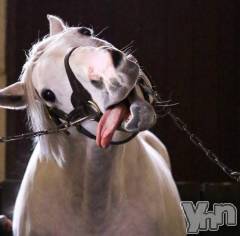 甲府デリヘル甲府人妻隊(コウフヒトヅマタイ) なおみ(50)の11月28日写メブログ「退勤しました😌✋️」