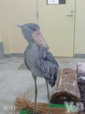 甲府デリヘル 甲府人妻隊(コウフヒトヅマタイ) なおみ(50)の8月25日写メブログ「おはよう御座います☀️🙋‍♀️❗」