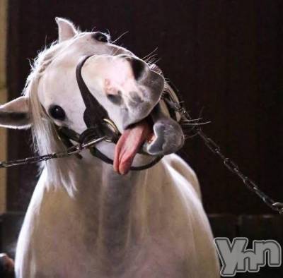 甲府デリヘル 甲府人妻隊(コウフヒトヅマタイ) なおみ(50)の11月28日写メブログ「退勤しました😌✋️」